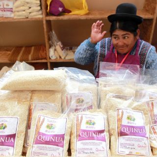 Perú consigue licencia fitosanitaria para vender quinua en la India