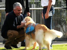 Millán ha levantado un emporio canino a partir de su programa de televisión en el que ayuda a las personas a educar a sus perros. SUN / ARCHIVO