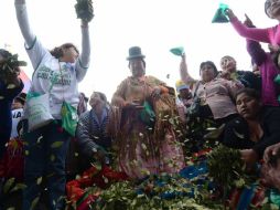 Los conquistadores se referían a una planta que arrastraba a los indígenas por los caminos del mal y era necesario extirparla. EFE / ARCHIVO