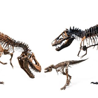 Erupción volcánica ayudó a terminar con dinosaurios