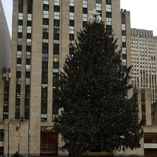 Árbol de Navidad de Centro Rockefeller en NY atrae a miles