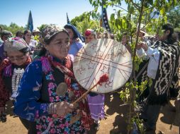 La región de La Araucanía ha sido escenario desde hace décadas del llamado conflicto mapuche. EFE / ARCHIVO