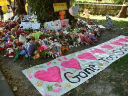 Los cadáveres de los ocho niños, siete de ellos sus hijos, fueron encontrados por su hermano mayor en Cairns. AFP / P. Parks