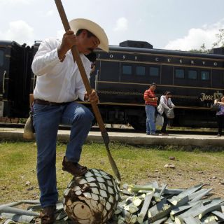Impulsan a Tequila como destino internacional