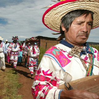 Traducción de sentencias garantiza conocimiento de derechos: TEPJF
