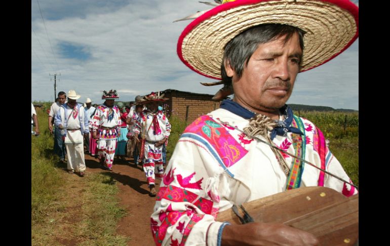 Sierra huichola, hogar de los wixarikas de Jalisco. EL INFORMADOR / ARCHIVO