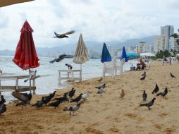 Acapulco fue uno de los lugares que registró bastante afluencia turística. NTX / ARCHIVO