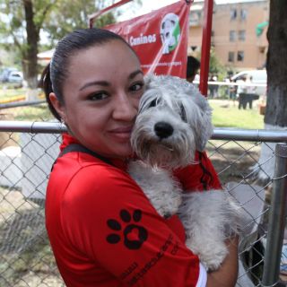 Piden evitar regalar mascotas en Navidad