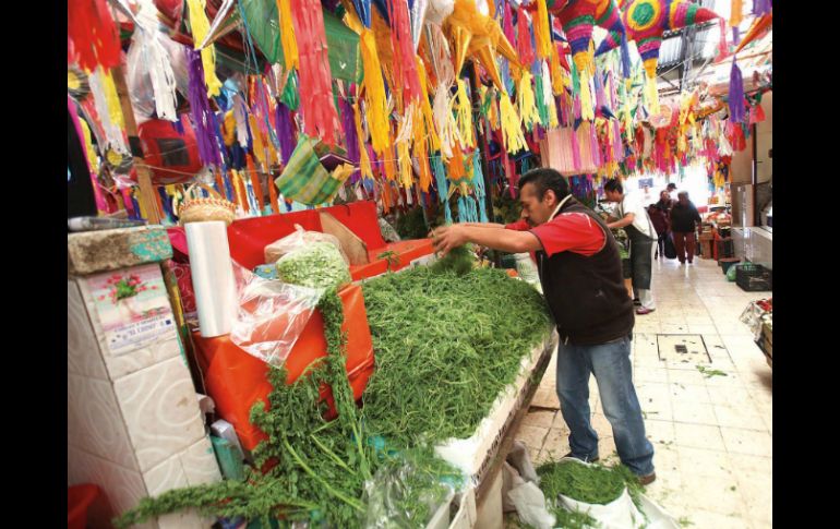 Se otorgan paquetes tecnológicos y capacitación para control de plagas, lo cual permite mantener una producción estable y de calidad. SUN / RCC