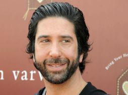 Schwimmer tendrá uno de los papeles protagónicos. AP / ARCHIVO