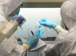 Los síntomas de Bourbon se parecían a los de otras enfermedades transmitidas por las garrapatas, según las autoridades. AFP / ARCHIVO