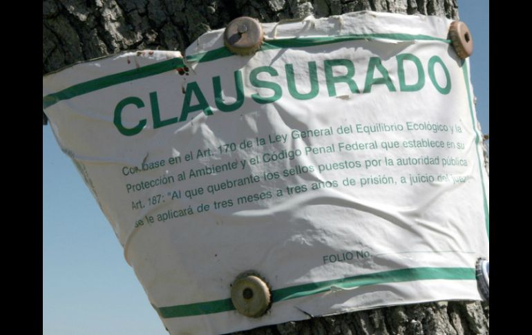 En ninguno de los casos se detiene a probables responsables de su operación. EL INFORMADOR / ARCHIVO