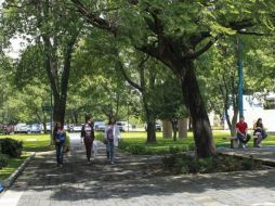 En los últimos dos años, 27 mil 611 estudiantes han realizado actividades académicas en Estados Unidos. EL INFORMADOR / ARCHIVO