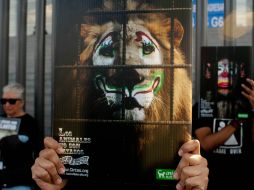 La utilización de animales en circos fue tema de discusión este año. NTX / ARCHIVO