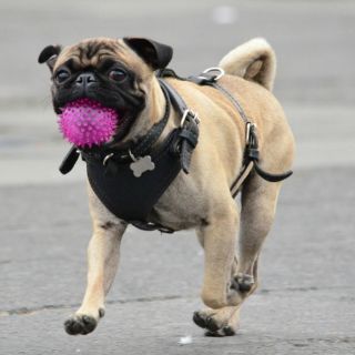 Las leyes más absurdas del 2014