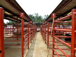 Actualmente sólo operan tres rastros TIF en el estado, dos privados, y uno público en Arandas. EL INFORMADOR / ARCHIVO