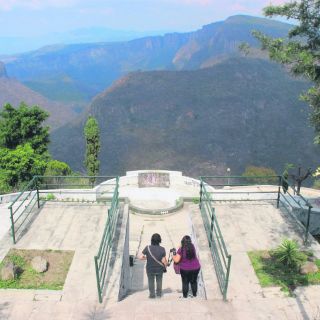 Una ventana al mundo natural
