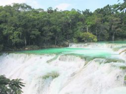 La Huasteca Potosina ofrece distintos paisajes a los paseantes. EL INFORMADOR / V. García