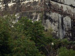 El joven había ido a esta ciudad de excursión para un retiro espiritual. AP / ARCHIVO