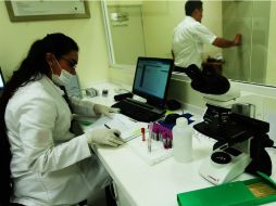 El número de divisiones de células madre en un tipo de tejido está correlacionado con la incidencia de cáncer. EL INFORMADOR / ARCHIVO