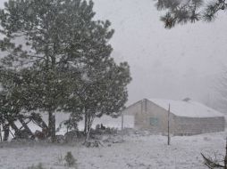 Las autoridades contarán con recursos para atender las necesidades alimenticias, de abrigo y de salud de los pobladores. NTX / ARCHIVO
