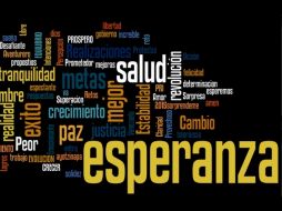 En la imagen se observan los conceptos referidos por los usuarios, su tamaño varía según la repetición. EL INFORMADOR /