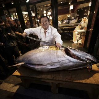 Venden atún por más de 31 mil euros en la primera subasta del año en Tokio