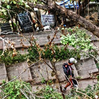 Una de cada 10 hectáreas de la barranca es urbanizable
