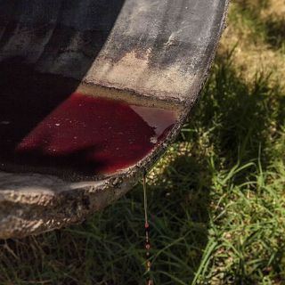 Tribunal detiene multa contra rastro contaminante en Zapopan