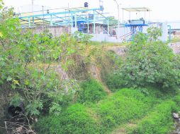 Recorrido. El agua que vierte el Rastro de Zapopan ya no está tan contaminada, según vecinos, pero persiste el hedor. EL INFORMADOR / M. Vargas