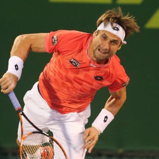 David Ferrer se deshace de Fernando Verdasco