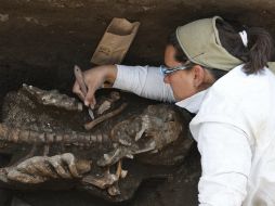 Arquéologos del INAH realizan trabajos de excavación de alrededor de cinco osamentas con una antigüedad de entre 400 y 800 años. NTX / C. Pacheco