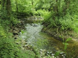 Se verificó el sitio del derrame para asegurarse que la solución no entró en contacto con aguas nacionales. EFE / ARCHIVO