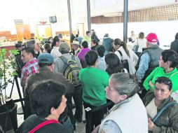 El tiempo perdido. Ocho mil tapatíos que acudieron, en promedio, al día a las recaudadoras municipales, sortearon largas filas y horas. EL INFORMADOR / F. Atilano