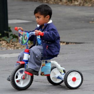 Ley de Protección a Menores, sin presupuesto para 2015