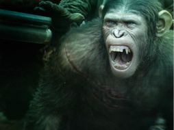 La cinta compite con 'Guardians of the Galaxy' 'The Hobbit: The Battle of Five Armies' e 'Interstellar'. FACEBOOK / Planeta de los Simios