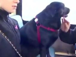 Eclipse viaja sola en el transporte público de Seattle YOUTUBE / pınkpınk