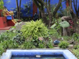 Esta exposición se inaugurará el 16 de mayo, con un total de 14 obras de la artista. ESPECIAL / www.nybg.org