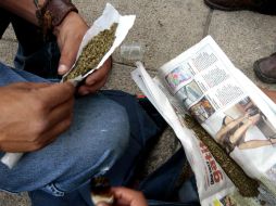 Aclaran que la sustancia cannabidiol, que es extraída de la mariguana, no causa dependencia ni efectos psicotrópicos. NTX / ARCHIVO