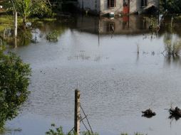 Guanay y Tipuani son las localidades que se encuentran afectadas. NTX / ARCHIVO