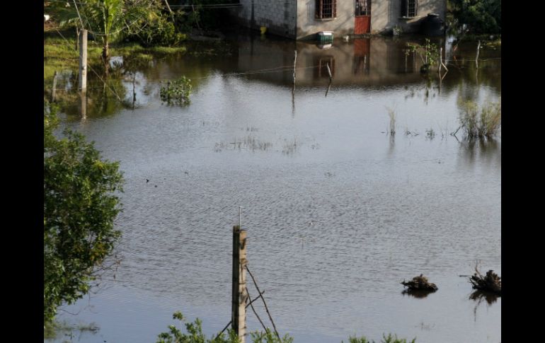 Guanay y Tipuani son las localidades que se encuentran afectadas. NTX / ARCHIVO