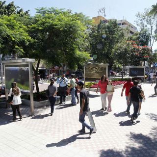 Preparan iluminación escénica en el Corredor Chapultepec