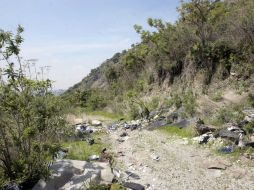 El hombre ha elegido el cerro. Allí es donde se oculta con éxito. La autoridad estatal no ha logrado dar con él. EL INFORMADOR / ARCHIVO