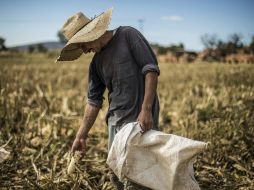 El Mandatario afirma que las exportaciones de nuestros productos crecieron nueve por ciento. EL INFORMADOR / ARCHIVO