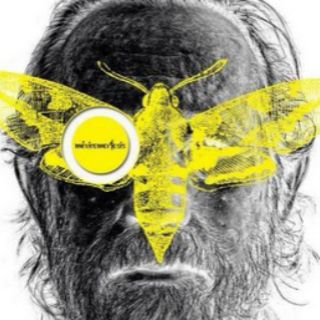 Se arraiga el cine en Guanajuato