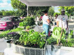 Exhibición de los huertos en la Colonia La Huizachera, en El Salto, donde se trabajaron los proyectos socio-productivos. EL INFORMADOR / S. Blanco