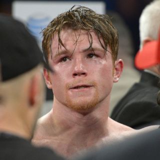 Lara se ofrece para pelear contra 'Canelo'; lo hará gratis