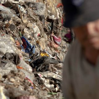 Avanzan medidas para regularizar Picachos sólo en el corto plazo