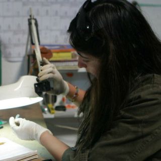 Hallan copia del Evangelio en máscara de momia