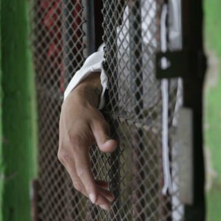 Hallan planta de mariguana en penal de San Luis Potosí